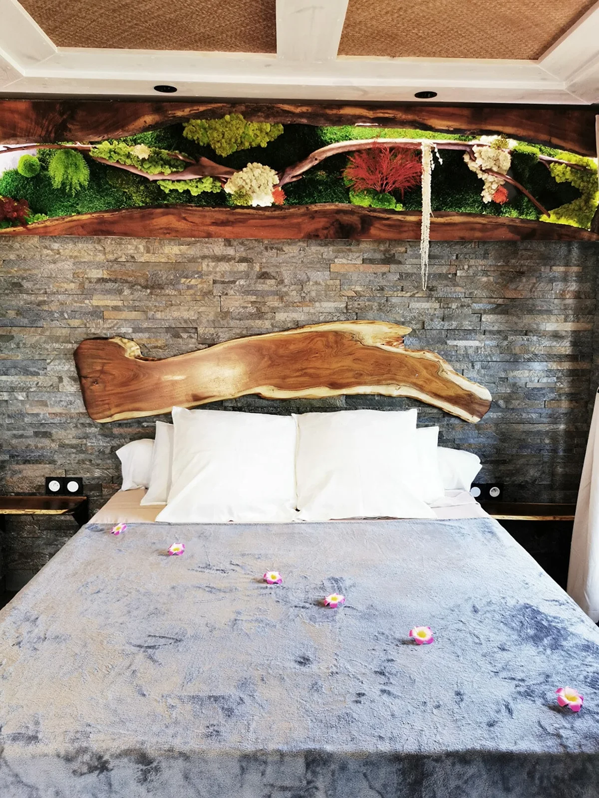 Le lit de l'Aloé Vera sous une tête de lit en bois brut